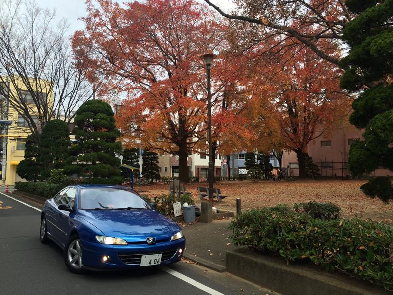 エーゲIMG_2530.jpg