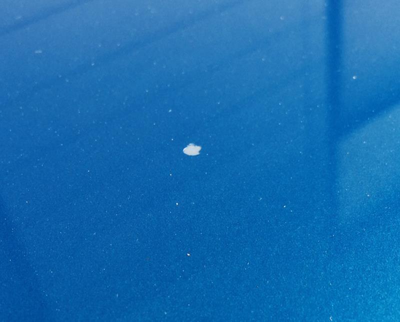 bonnet.jpg