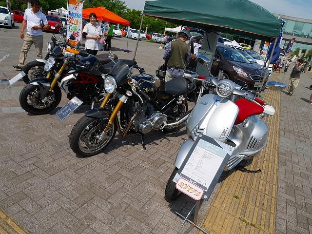 P4650971.jpg