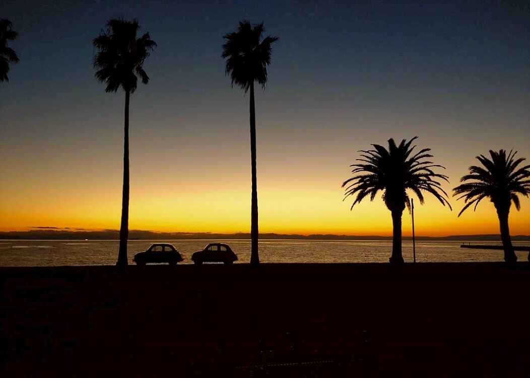 LINE_ALBUM_20251206トリコローレ_251208_1.jpg