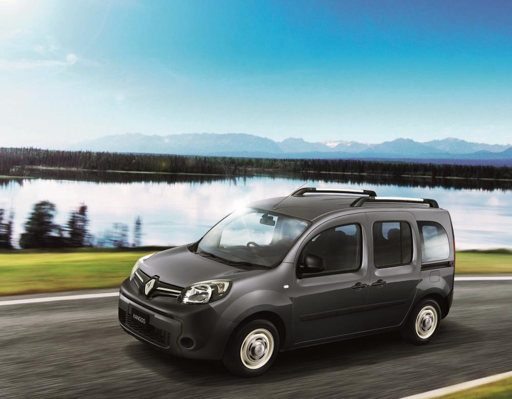kangoo-1.jpg