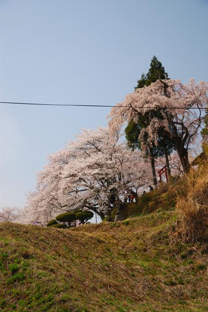 06DSC_0048.jpg