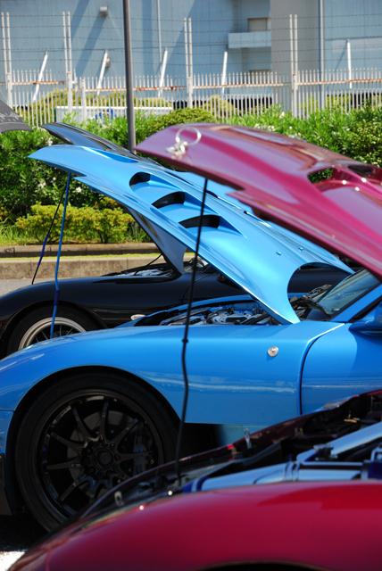 DSC_0860.jpg