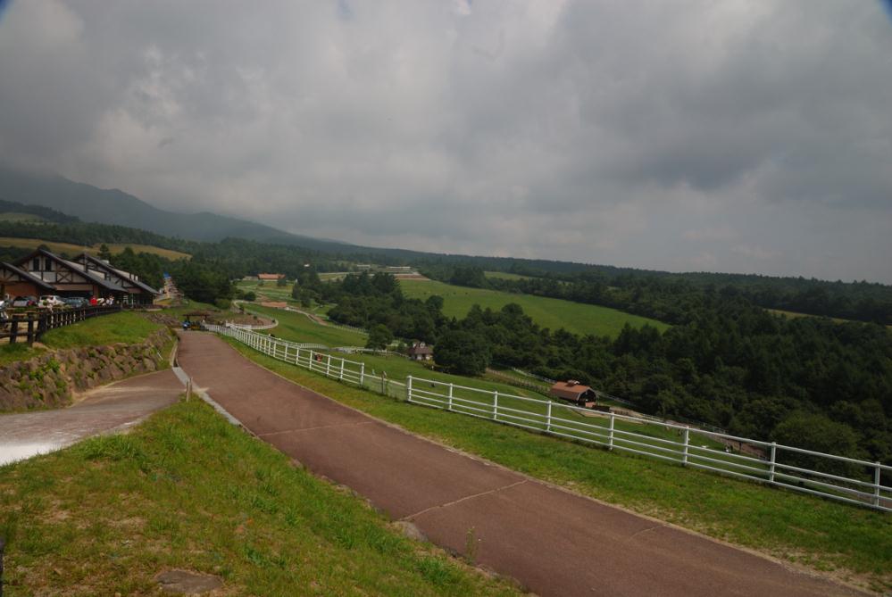 DSC_1154.jpg