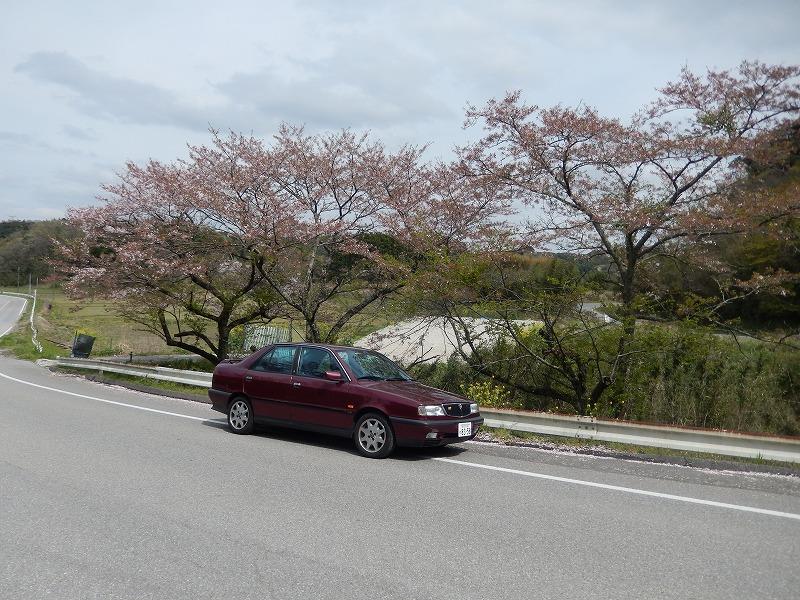 はるうらら.jpg