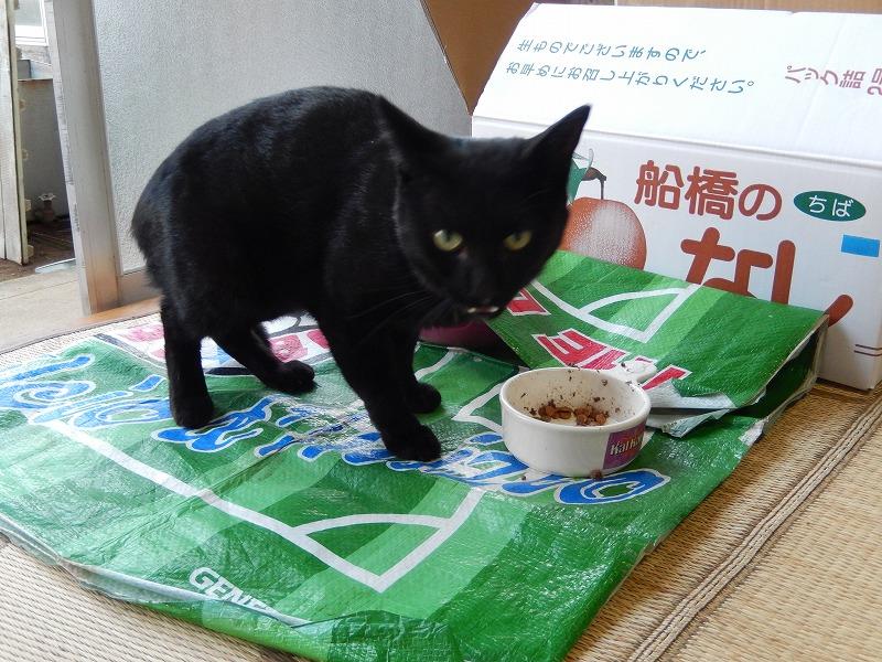 DSCN4285.jpg