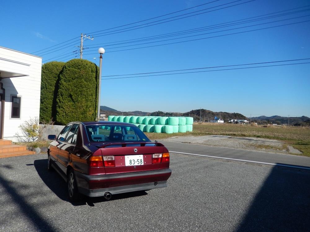 素敵な青空のもとで。