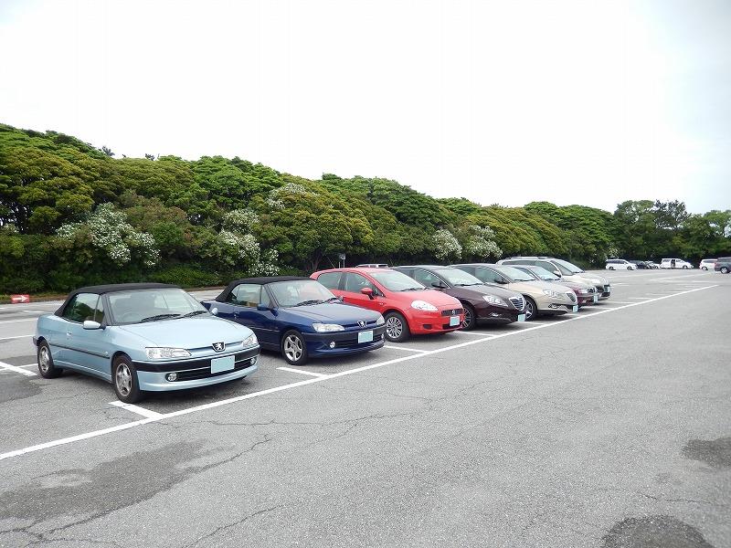 s-お仲間5.jpg