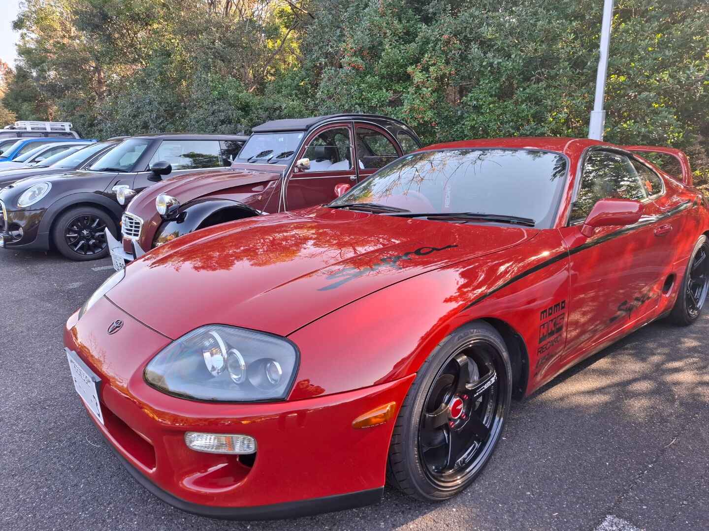 9a550998f9894e61b72f2e257e8f8f91.jpg