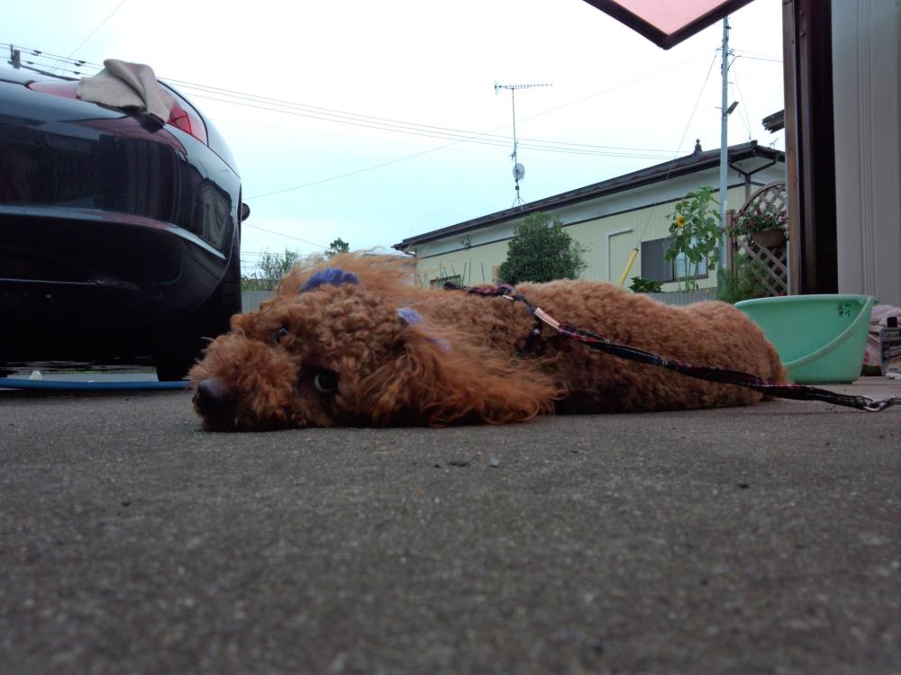 プロフィール2に写真を追加してください。