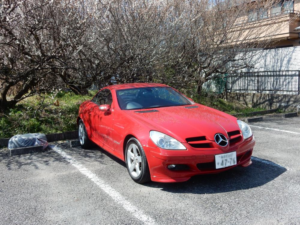 DSCN0415222.jpg