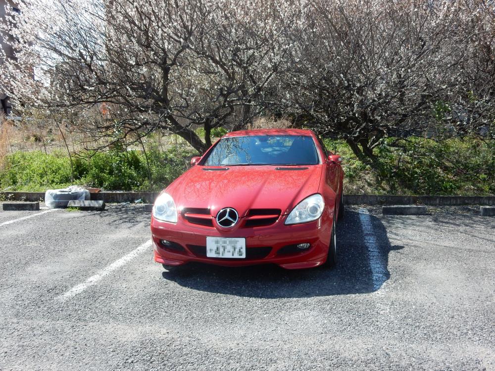 DSCN04162222.jpg