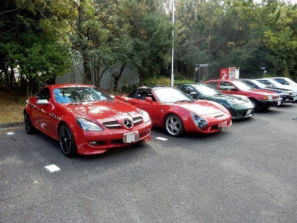 DSCN1035 (600x450).jpg