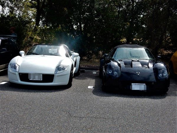 DSCN1185 (600x450).jpg