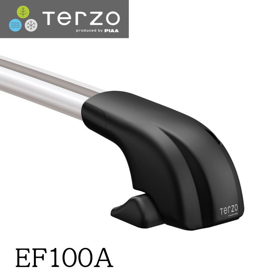 ef100a-1.jpeg