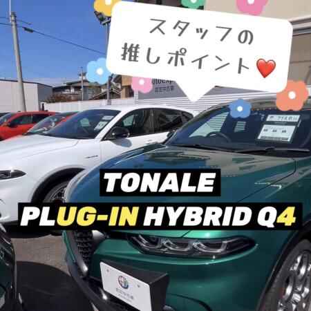 ct6g77cl6.jpeg