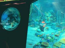 IMG_7442-3-thumb-225x168-170279.jpg