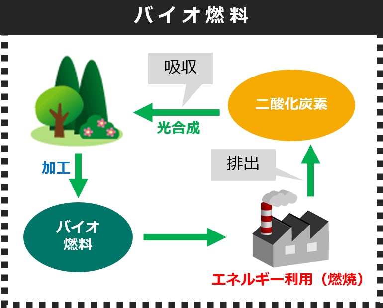 STバイオ燃料.jpg