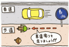img_07-thumb-236x162-8643.gif