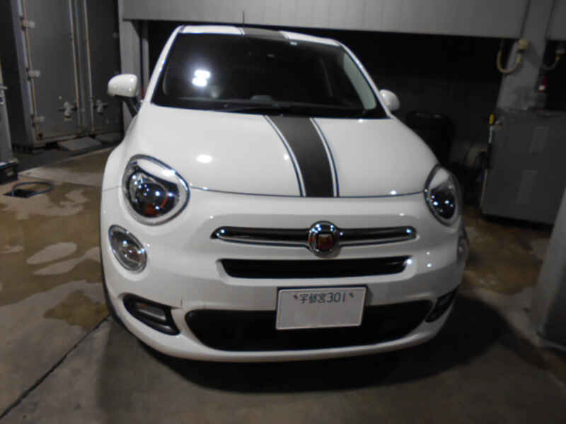 881333.jpg