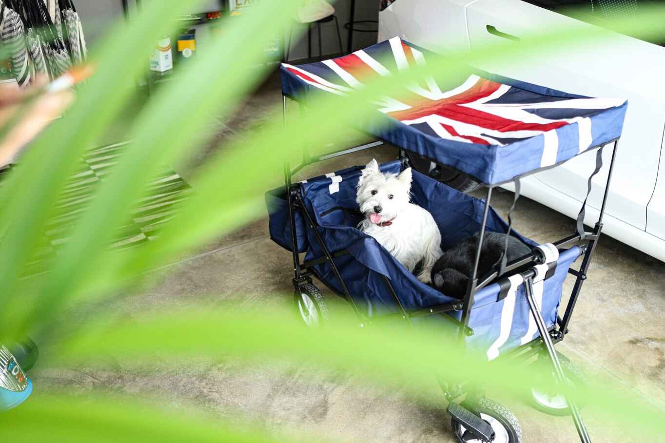 606486051_18018243749799372_363621199988517997_n.jpg